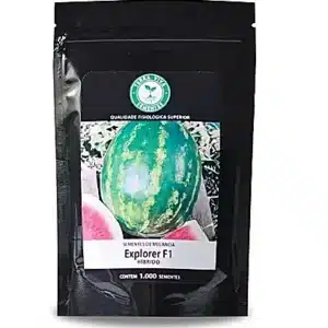 Sementes De Melancia Híbrida Explorer F1